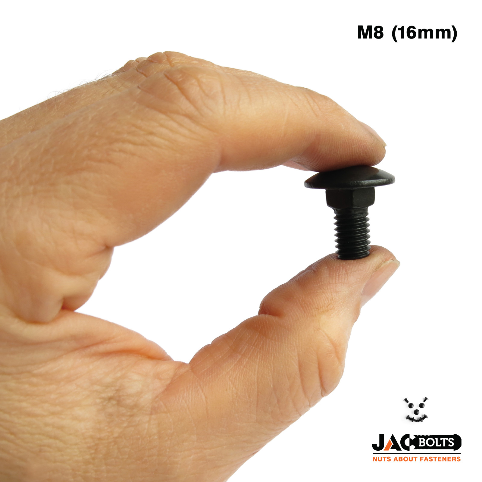 M8 Black Stainless Steel Carriage Bolts / Cup Square Coach Screws from